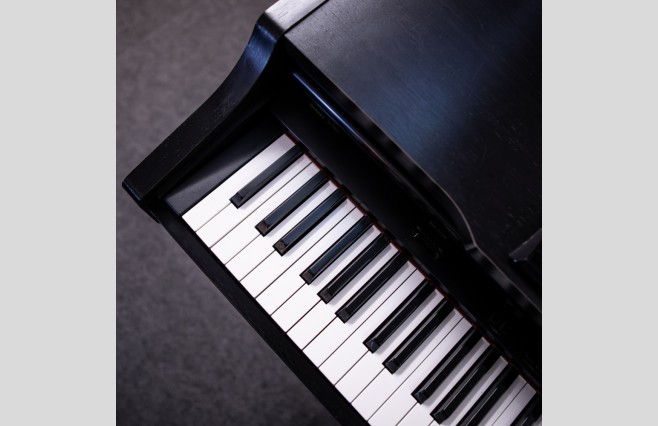 Used Technics SX-PX552 Satin Black Digital Piano Complete Package (SN:A900A4180) - Image 7